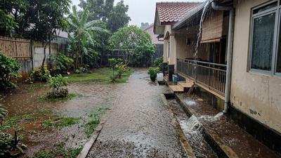 7 Tanda Drainase Halaman Rumah Tidak Mampu Menampung Air Hujan yang Perlu Diwaspadai