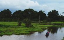 Memahami Magic Land, Sebutan untuk Kabupaten Kutai Timur
