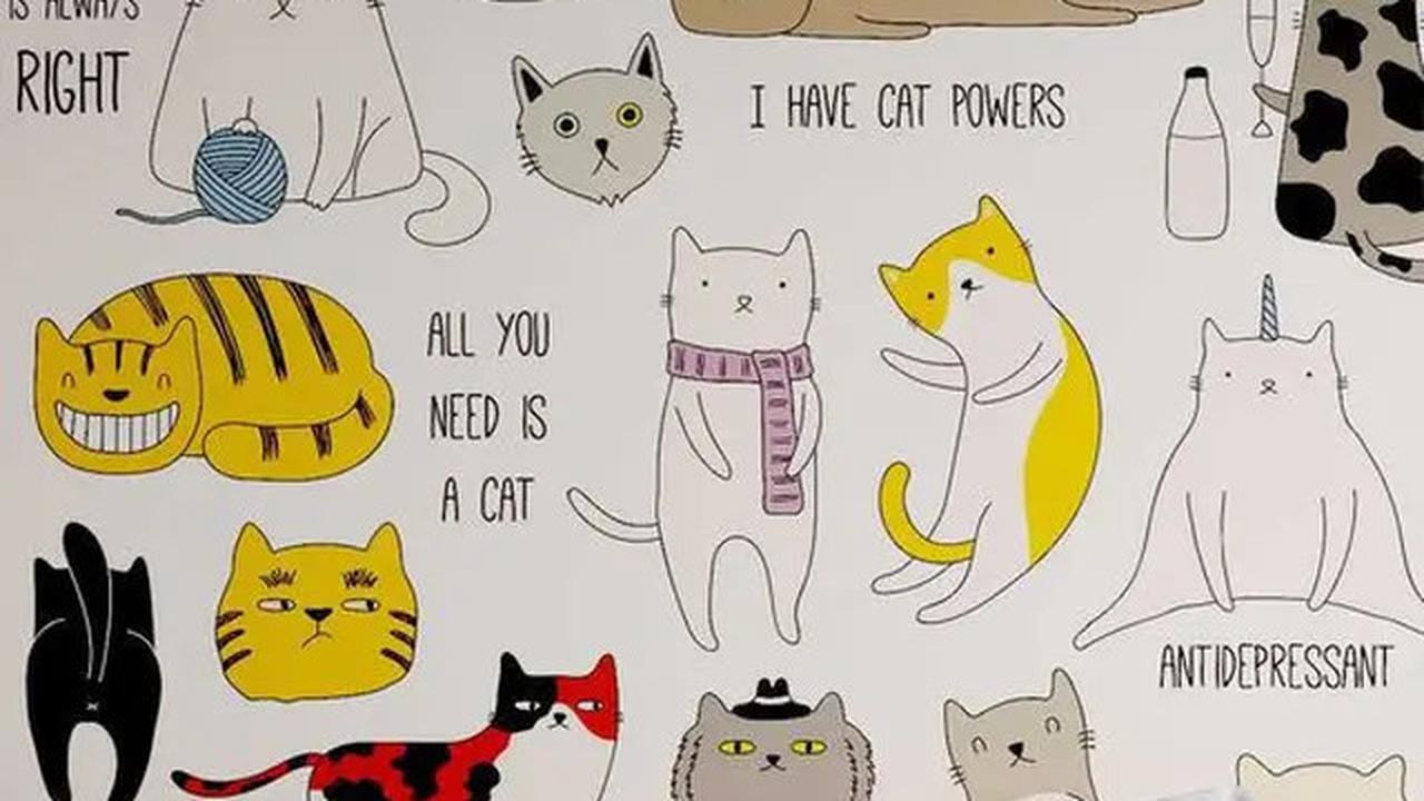 5 Ide Desain Cat Tembok Motif untuk Kamar yang Estetik dan Elegan