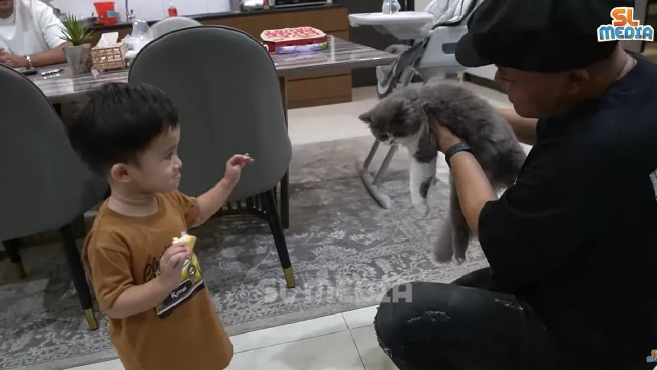 Tak sampai disitu, Adzam juga hendak menunjukan hewan peliharaan kucing di rumahnya bernama Abu. Dengan gayanya yang lucu, Adzam tampak mencari Abu di yang sedang bersembunyi di salah satu sudut rumahnya.<br>