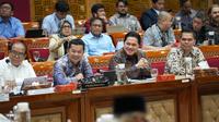 Ketua Umum PSSI Erick Thohir pada rapat dengan Komisi X dan Komisi XIII DPR. (Istimewa)