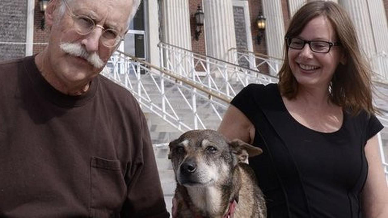 Anjing ini maju jadi kandidat wali kota di Amerika