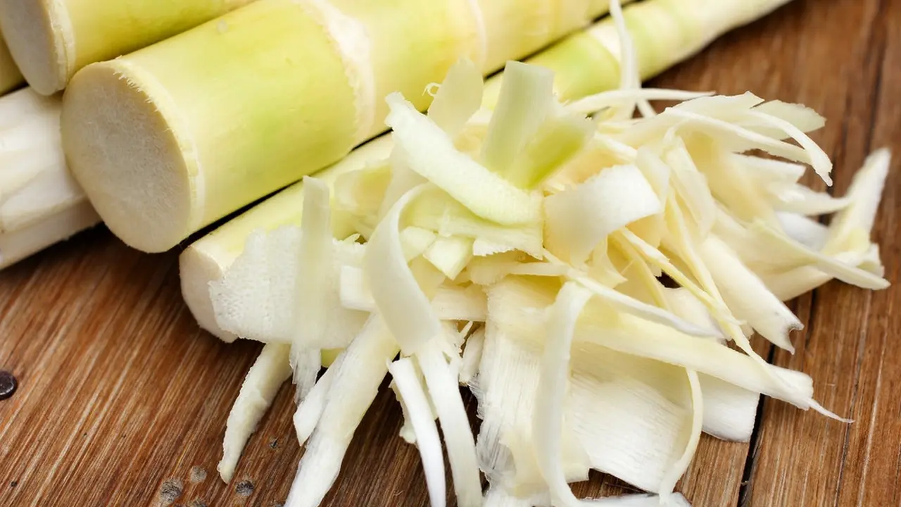 bambu muda rebung