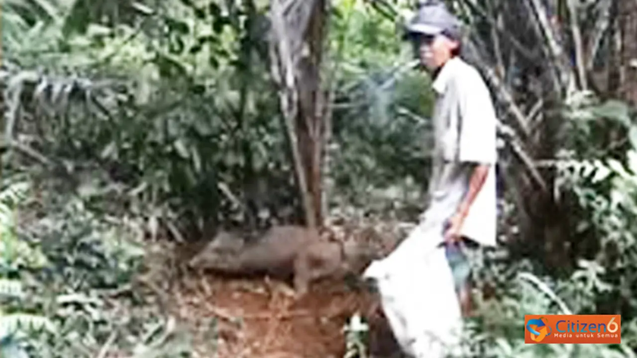 131009ababi.jpg