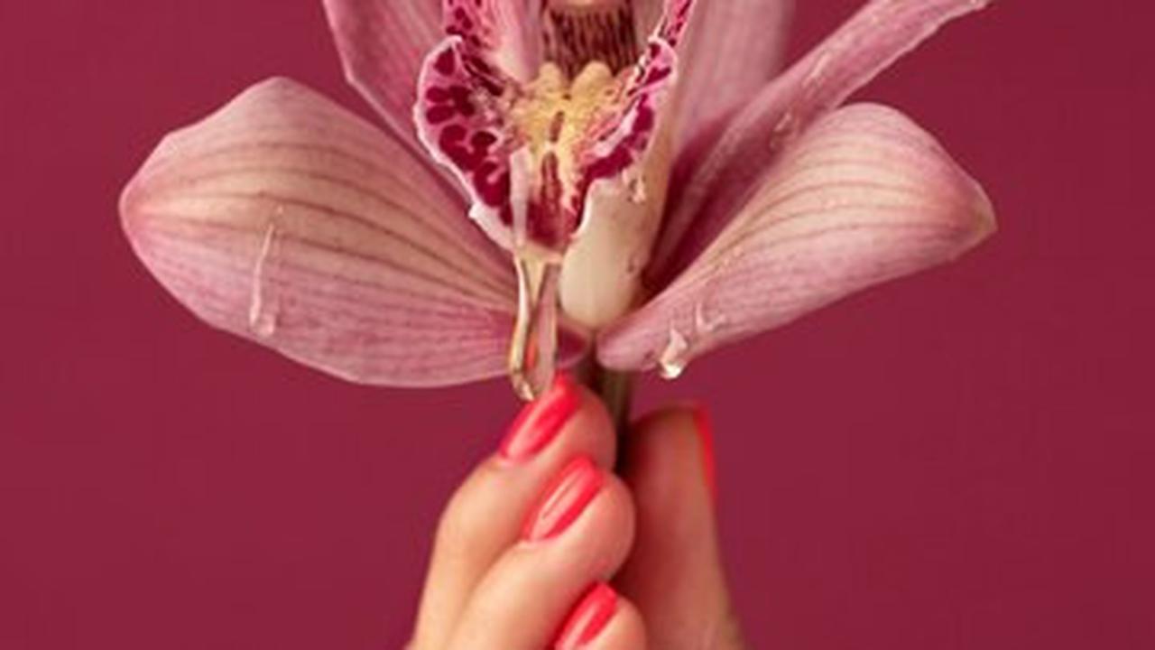 Ilustrasi Vagina