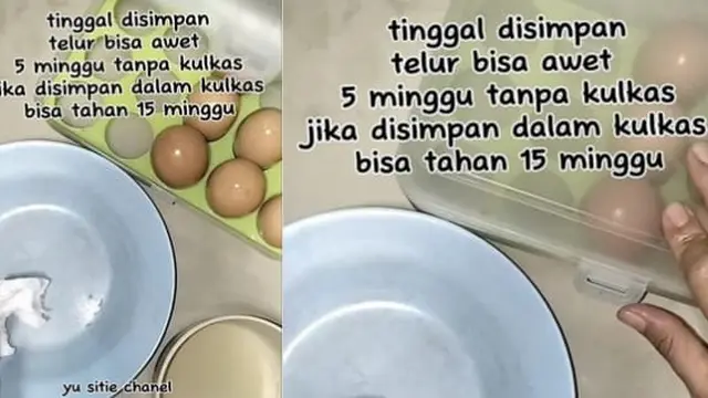 Tak Perlu Masuk Kulkas, Begini Trik Simpan Telur Agar Tetap Awet hingga 5 Minggu