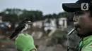 Sulaiman membunyikan peluit saat melatih burung free fly di Jakarta, Minggu (26/7/2020). Berbeda dengan burung kicau, free fly merupakan hobi memelihara burung kecil tidak dalam sangkar alias dapat terbang bebas namun tidak akan kabur meninggalkan tuannya. (merdeka.com/Iqbal Nugroho)