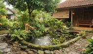 8 Tanaman Air yang Cocok untuk Kolam Mini Bergaya Jepang, Ciptakan Suasana Sejuk Menenangkan