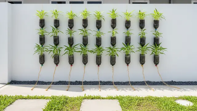Ide Kebun Kangkung Gantung untuk Halaman Sempit. Gemini