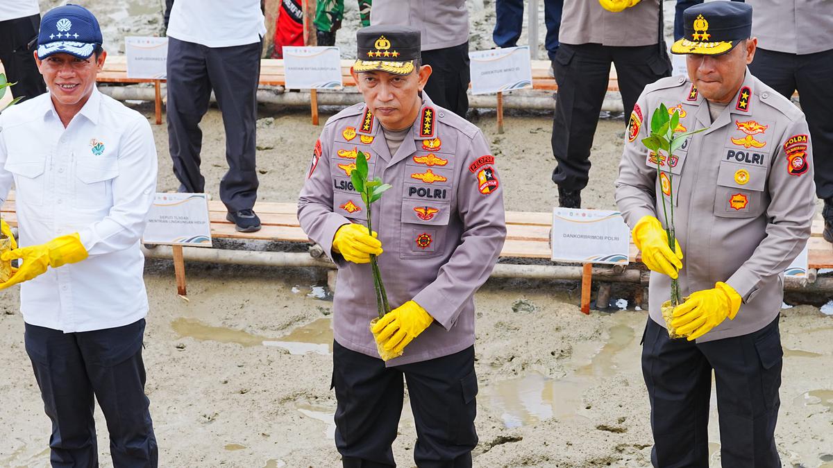 Tanam Mangrove Di Kalbar, Kapolri: Jaga Lingkungan Untuk Masa Depan Anak Cucu Kita
