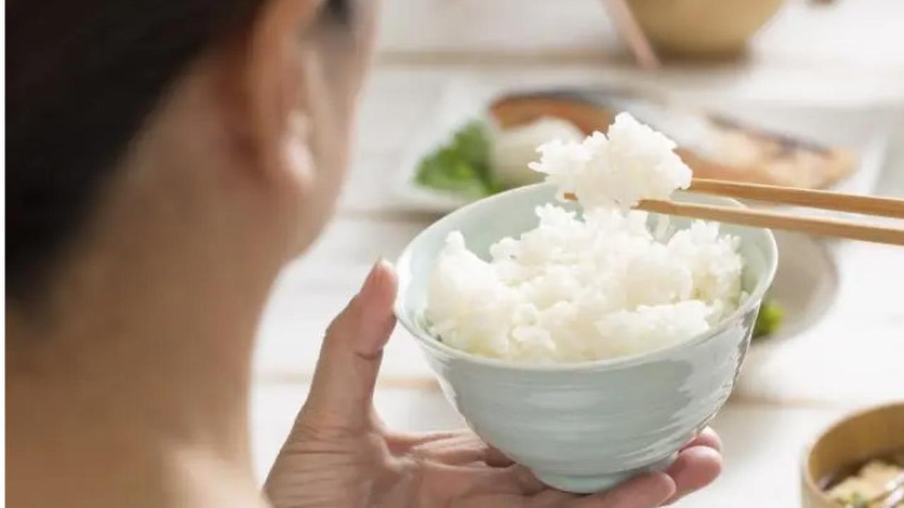 ilustrasi makan nasi
