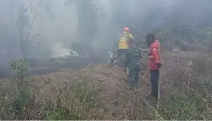 PDIP Ungkap Dua Masalah Utama di Balik Kebakaran Hutan