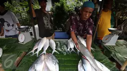 Pedagang memperlihatkan ikan bandeng berukuran besar, Rawabelong, Jakarta, Jumat (5/2/2016). Pedagang mengaku permintaan ikan bandeng melonjak menjelang perayaan Imlek. (Liputan6.com/Angga Yuniar) 