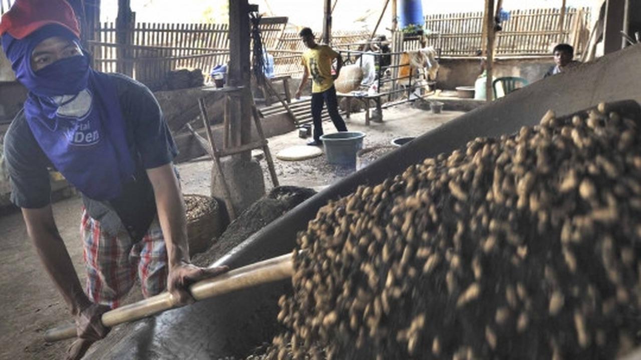 Usai Lebaran, pembuat kacang sangrai raup untung berlipat