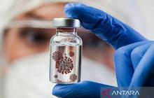 Dinkes Yogyakarta Gencarkan Surveilans Antisipasi Virus Nipah, Waspada Gejala Awal