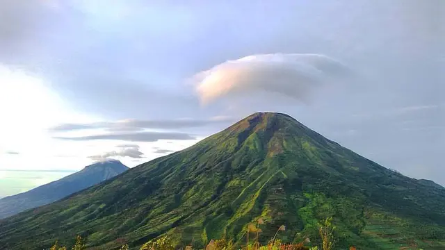 [Bintang] Jawa Timur