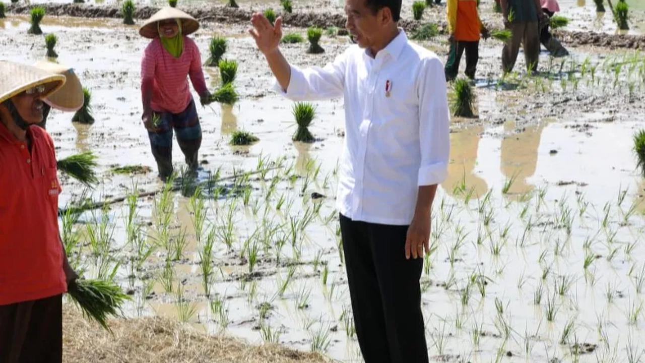 Tasirah pun langsung disambut perasaan senang dan menyalami pada Presiden dan membawa sepeda bertuliskan Sepeda Presiden Jokowi itu kembali ke tempat duduknya.<br>