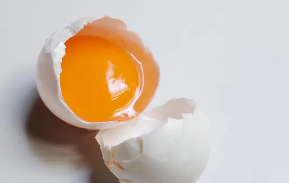 Beda Kandungan Gizi Telur Ceplok, Telur Rebus dan Dadar, Mana Olahan Paling Sehat?