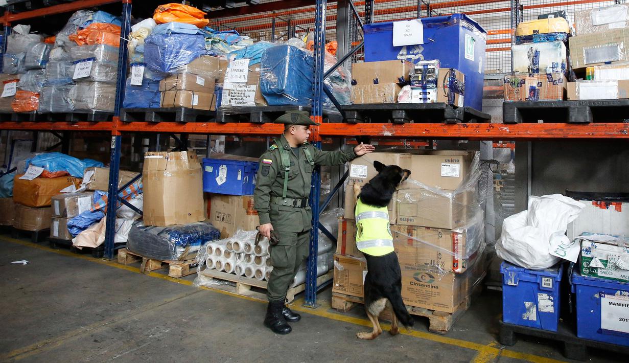 Anjing kepolisian Kolombia, Sombra melakukan patroli di ruang kargo bandara El Dorado, Bogota, 26 Juli 2018. Sombra yang berusia 6 tahun telah mencatatkan rekor penemuan narkoba terbanyak sepanjang karirnya sebagai anjing polisi. (AP/Fernando Vergara)