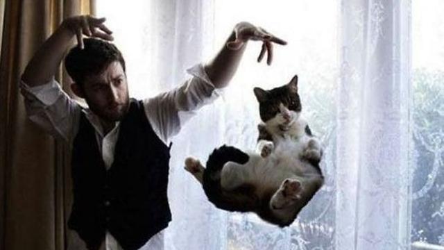 Foto kucing yang pas momennya