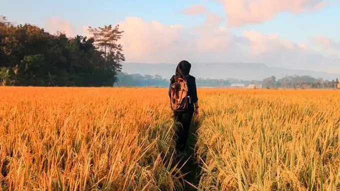 copyright pexels.com/Samuel Silitonga