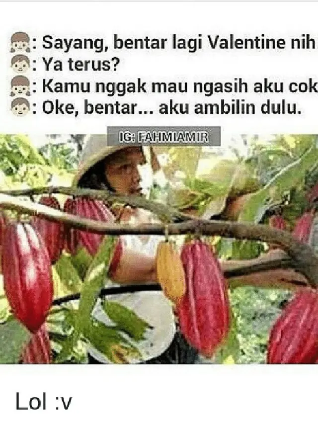7 Meme Kocak Coklat Buat Hari Valentine Ini Absurd, Ada yang Salah Beli