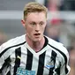 Sean Longstaff (Ist)