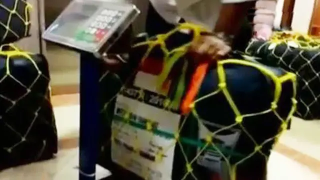 Kepulangan Jemaah Haji