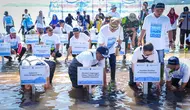 Kementerian Lingkungan Hidup Pulihkan Ekosistem Mangrove di NTB