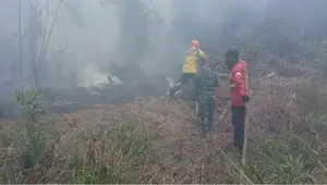 Kemenhut Ungkap Strategi Baru Padamkan Kebakaran Hutan