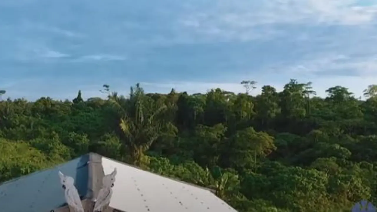 Kepulauan Tanimbar