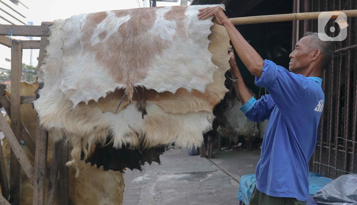 Selain itu, pedagang juga menjual kulit bedug dengan berbagai ukuran. (Liputan6.com/Herman Zakharia)