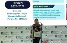 Tahukah Anda, Stok Beras Nasional Capai 4,23 Juta Ton? Kemenko Pangan Komitmen Wujudkan Ketahanan Pangan Berkelanjutan