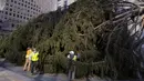 Pohon Natal Rockefeller Center 2020 disiapkan untuk diletakkan di Rockefeller Plaza, New York pada Sabtu (14/11/2020). Pohon cemara spruce Norwegia setinggi 75 kaki dan 11 ton tersebut berasal dari Oneonta untuk menyambut Natal 2020. (AP Photo/Craig Ruttle)