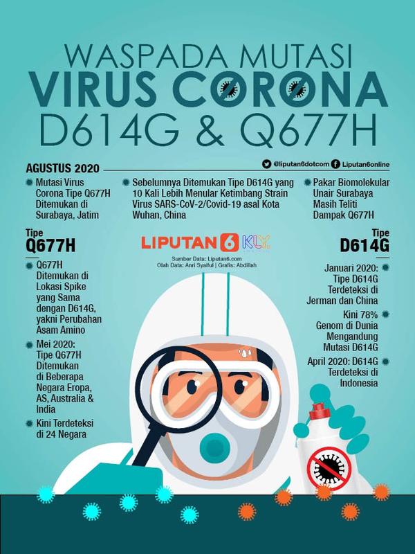 Infografis Waspada Mutasi Virus Corona D614G dan Q677H. (Liputan6.com/Abdillah)