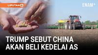 Trump Umumkan Tarif Turun dan China Akan Beli Kedelai AS