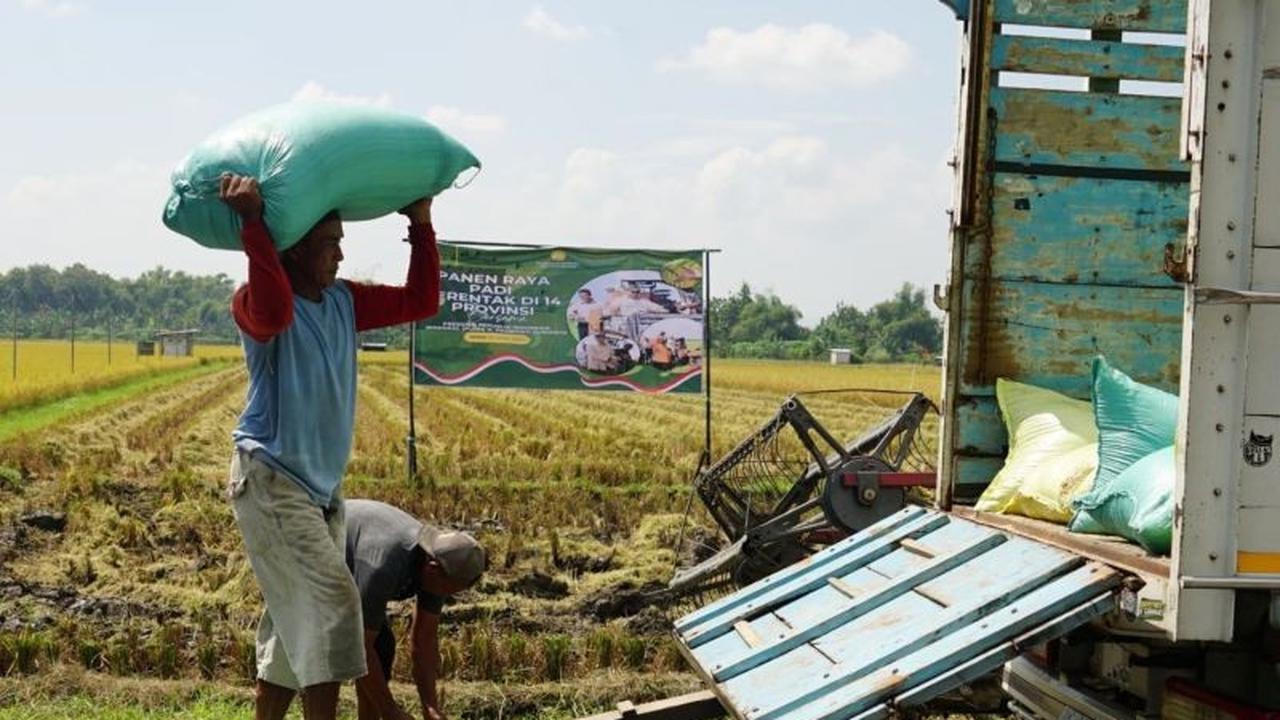Sektor Pertanian Sumbang PDRB Madiun Rp27,48 Miliar pada 2025, Dominasi Ekonomi Lokal
