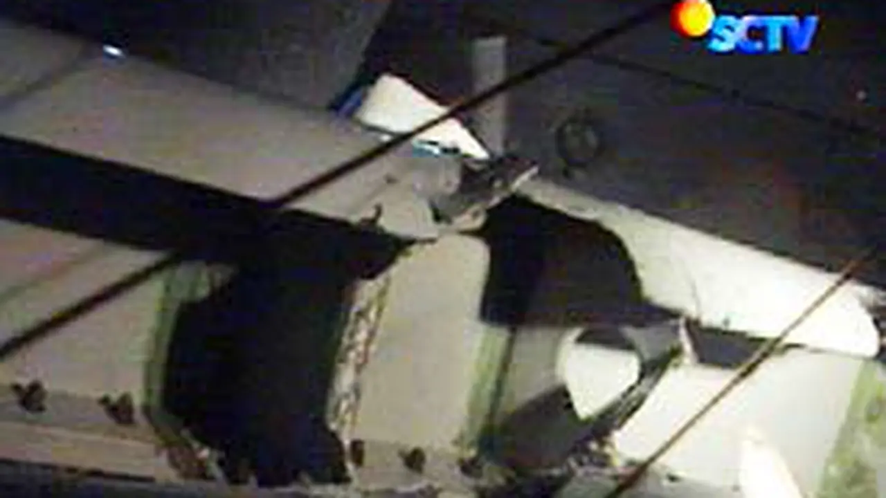 110107aadamair-sayap.jpg
