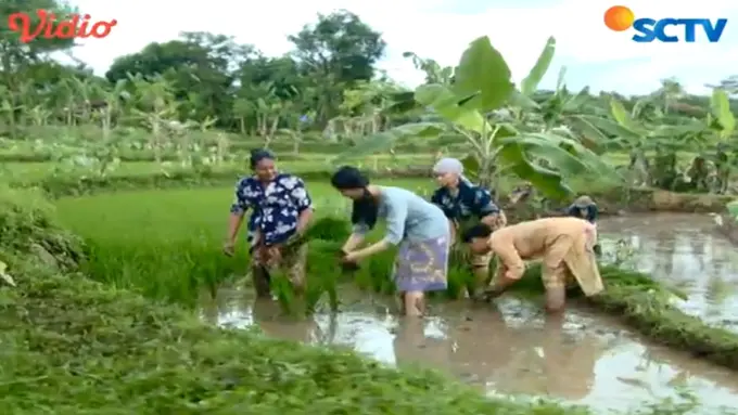 [Bintang] Natasha Wilona