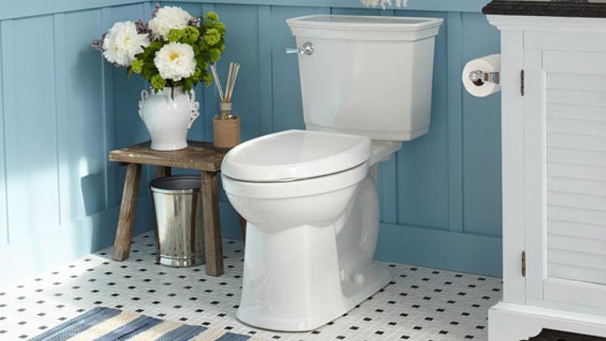 Fakta Menarik tentang Toilet Health Liputan6 com