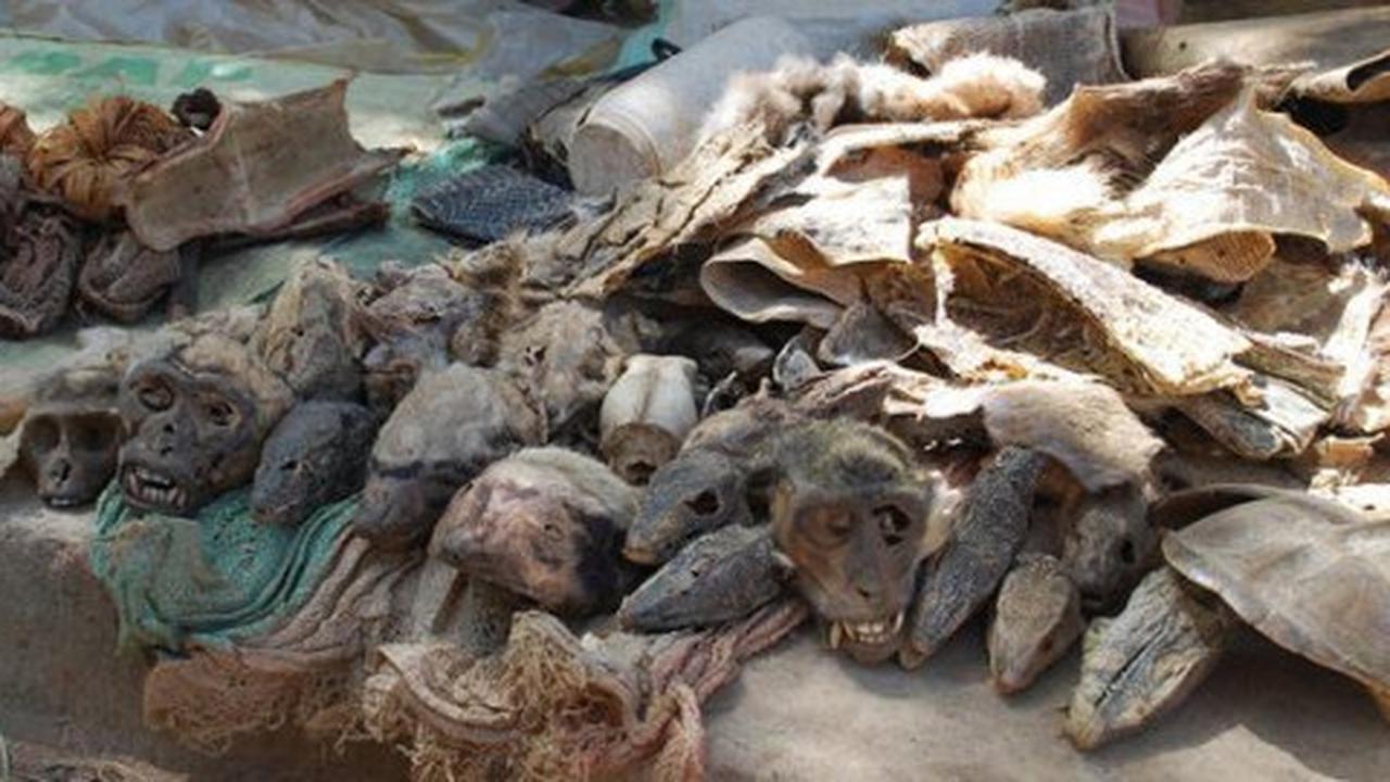 Akodessewa Fetish Market - Lome, Togo