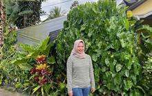 Manfaatkan Media Sosial, Begini Kisah Sukses Agen UMi Ken Sakti Sawangan Magelang Bikin Nasabah Nyaman Bertransaksi