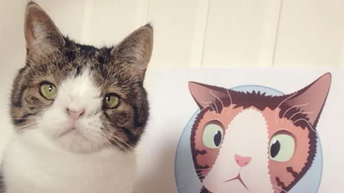 Foto: copyright Boredpanda.com