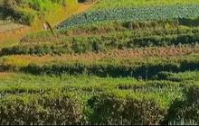 Berwisata ke Blumbang Roto, Hidden Gem di Lereng Gunung Sumbing yang Belum Banyak Diketahui