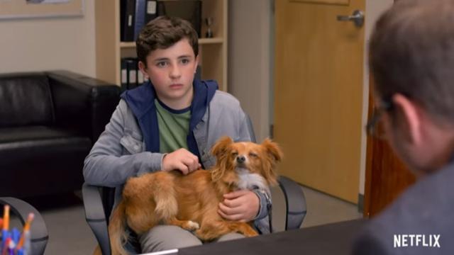 The Healing Powers of Dude