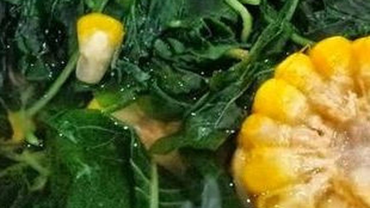 &nbsp;Sayur Bening Bayam Jagung