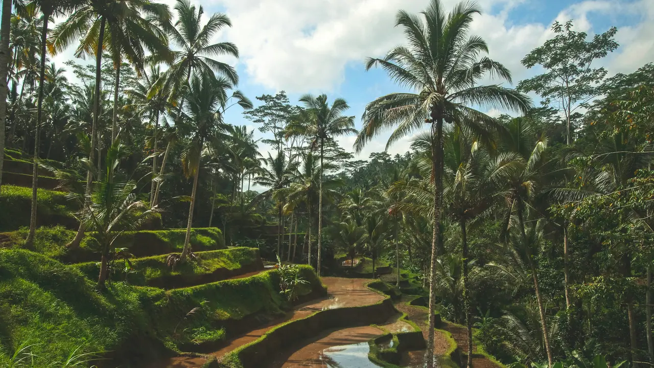 Mengenal Indonesia Quality Tourism Fund yang Ditargetkan Mulai Bergulir pada 2026, Bakal Jadi Dana Abadi untuk Sektor Pariwisata