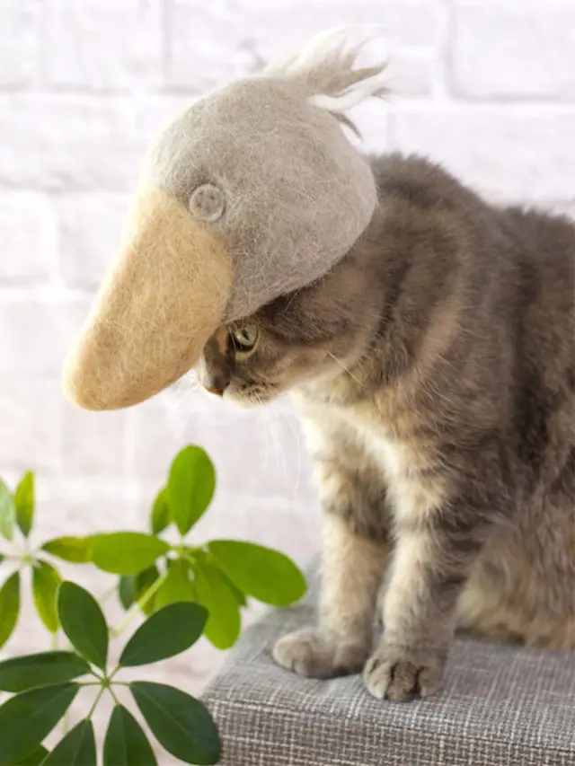 Kerajinan dari Bulu Kucing