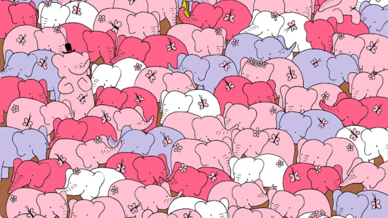 [Bintang] Game Valentine, Yuk Temukan Cinta di Antara Kawanan Gajah!