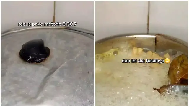 Biarkan Selama 30 Menit, Kemudian Rebus Kembali